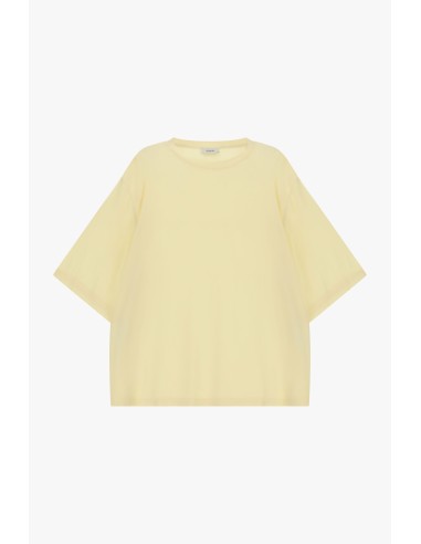 T-shirt Ampla Com Mangas Curtas E Decote Redondo Dixie