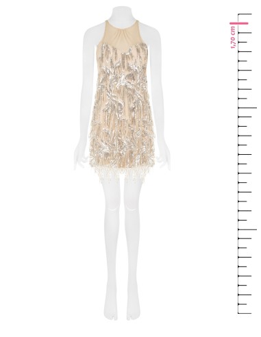 Vestido Curto em Tule com Bordados e Franjas de Lantejoulas Rinascimento