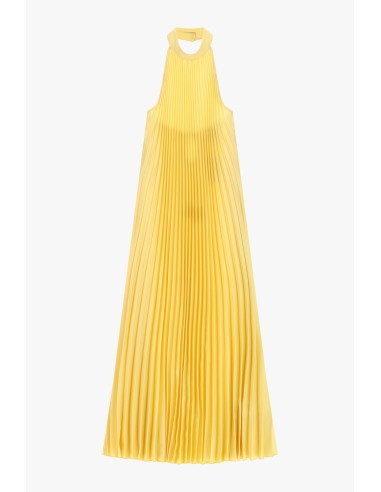 Vestido Longo Plissado com Decote Americano Dixie