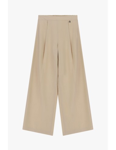 Calças Palazzo de Cintura Alta com Pinças Frontais Dixie