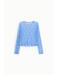 Top Transparente de Mangas Compridas com Bordado Floral Dixie 2