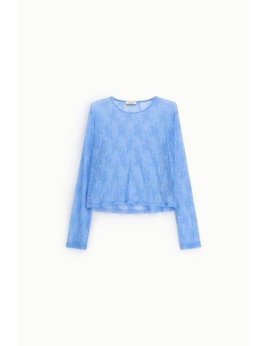 Top transparente com mangas compridas e bordado floral Dixie