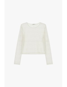 Top Transparente de Mangas Compridas com Bordado Floral Dixie