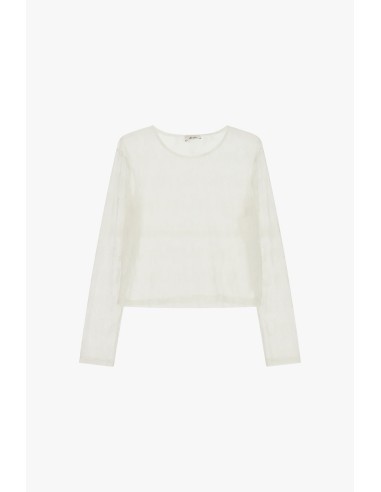 Top Transparente de Mangas Compridas com Bordado Floral Dixie