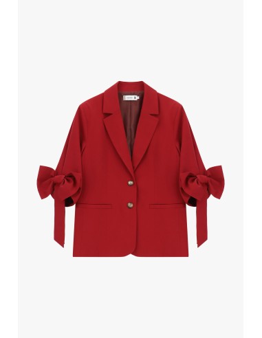 Blazer Com Mangas Com Laço E Fecho De Dois Botões Please
