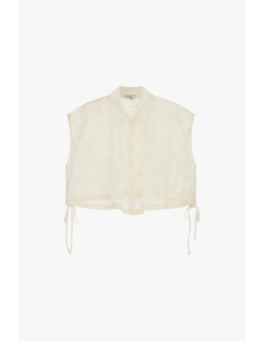 Camisa Cropped Sem Mangas Com Bordado Floral Dixie