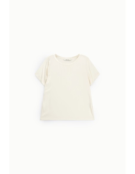 T-Shirt de mangas curtas corte reto Dixie