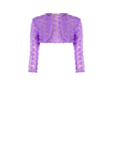 Tapa-Ombros Bolero em Tule Bordado com Rosas Rinascimento