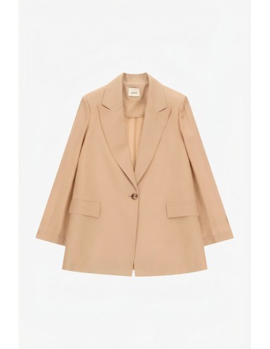 Blazer de corte simples com bolsos frontais Dixie