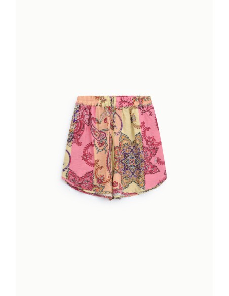 Shorts de corte regular com estampa paisley vibrante Dixie