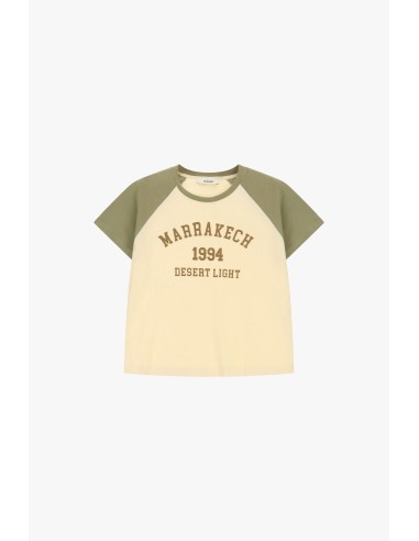 T-shirt com mangas raglã e estampa frontal Dixie