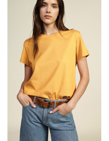 T-shirt com mangas curtas e corte regular Dixie