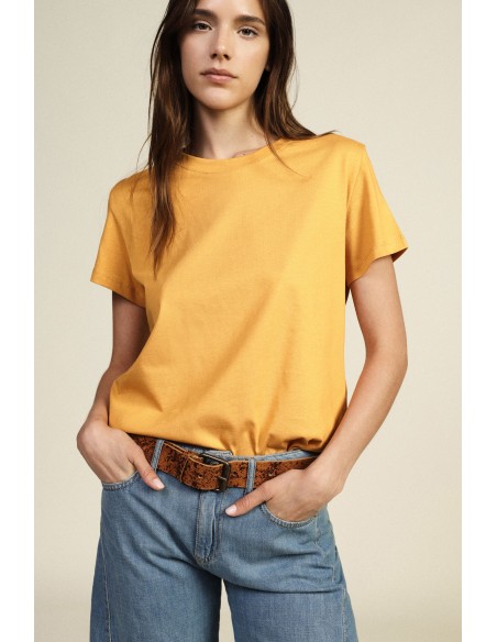 T-shirt com mangas curtas e corte regular Dixie