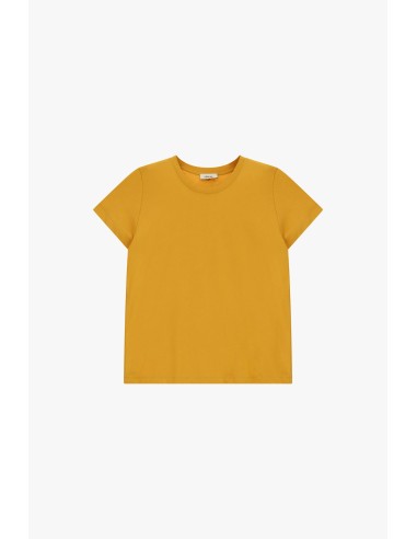 T-shirt de mangas curtas e corte regular Dixie