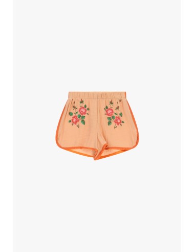 Shorts Bordados com Cintura Elástica e Acabamentos em Contraste Dixie