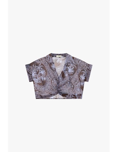 Top cropped com estampa paisley e nó frontal Dixie