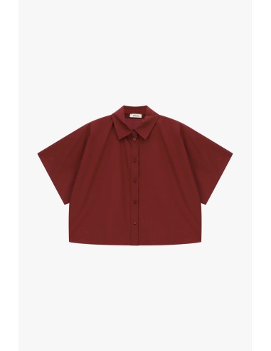 Camisa Cropped Mangas Curtas Corte Boxy Dixie