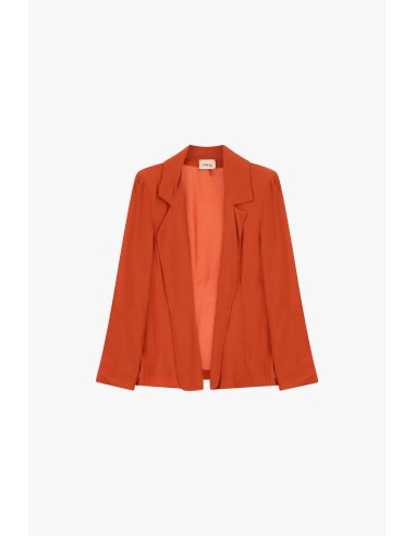 Blazer fluido com lapelas clássicas Dixie