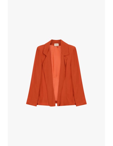 Blazer fluido com lapelas clássicas Dixie