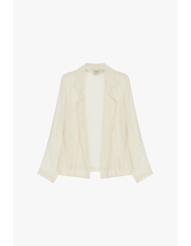 Blazer fluido com lapelas clássicas Dixie