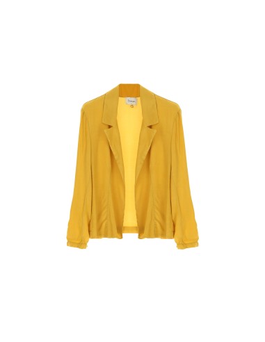 Blazer Fluido com Lapelas Clássicas Dixie
