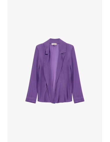 Blazer fluido com lapelas clássicas Dixie