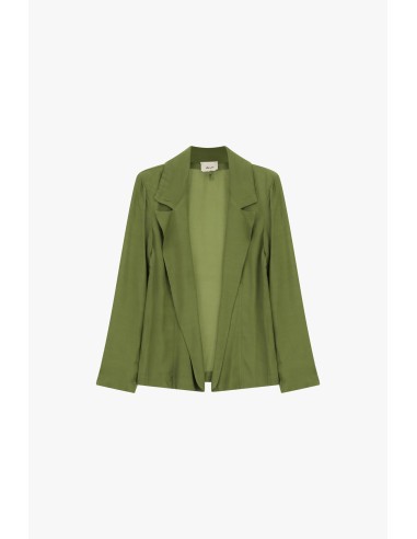Blazer Fluido com Lapelas Clássicas Dixie