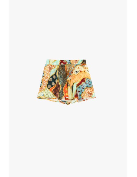 Shorts Regular-Fit Com Estampa Fantasia Multicolorida Dixie