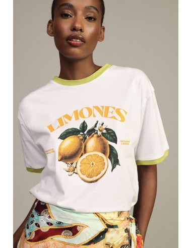 T-shirt Gola Redonda Estampa de Citrinos e Perfis em Contraste Dixie