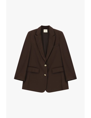 Blazer de dois botões com bolsos de aba Dixie
