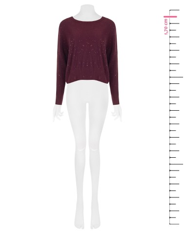 Camisola oversized com lantejoulas Rinascimento