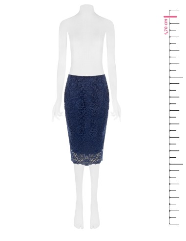 Saia Rinascimento