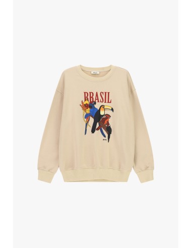 Sweatshirt de gola redonda com estampado de papagaios e inscrição Dixie