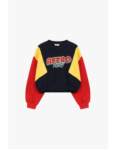 Sweatshirt cropped de gola redonda com mangas em blocos de cor Dixie