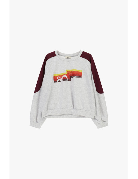Sweatshirt de gola redonda com mangas contrastantes e estampado frontal Dixie