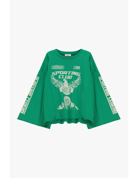 Sweatshirt larga Dixie com estampado frontal e mangas largas
