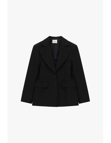 Blazer de dois botões, corte regular, com bolsos de aba Dixie