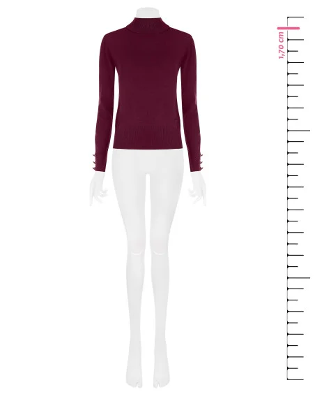 Camisola de gola alta em malha Ecotec com logótipo RR bordado Rinascimento - Bordeaux
