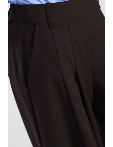 Calças Palazzo Amplas com Pregas Frontais Dixie