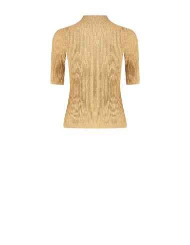 Top de gola alta canelado com fio em lurex Rinascimento