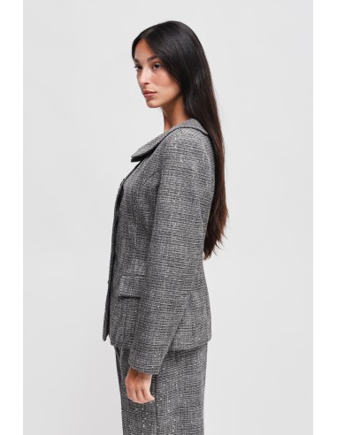Blazer Príncipe de Gales com Micro Lantejoulas Maryley