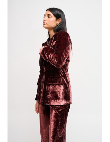 Blazer de abotoamento duplo em veludo liso Maryley