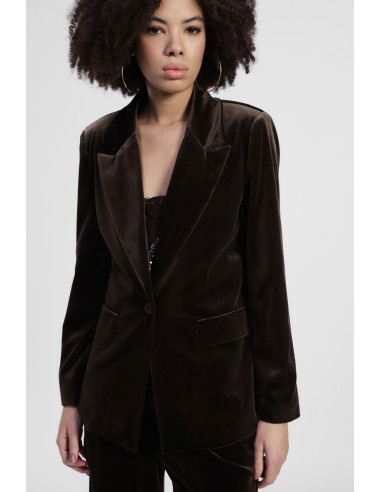 Blazer Aveludado com Bolsos de Aba Dixie