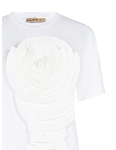 Camiseta Rinascimento
