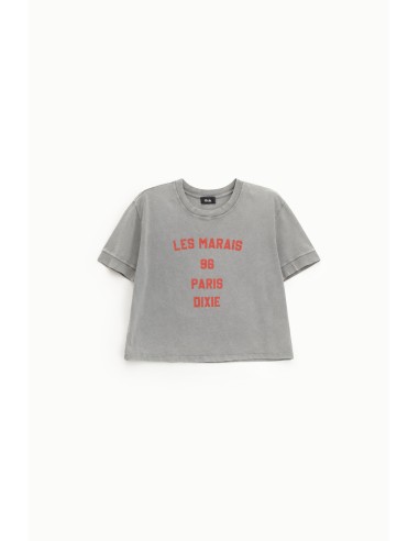 T-shirt cropped com estampa frontal, corte regular Dixie