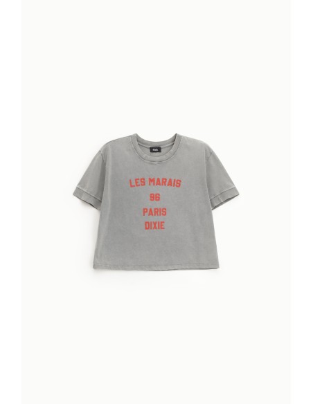 T-shirt cropped com estampa frontal, corte regular Dixie