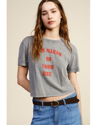 T-Shirt Cropped Estampa Frontal Corte Regular Dixie