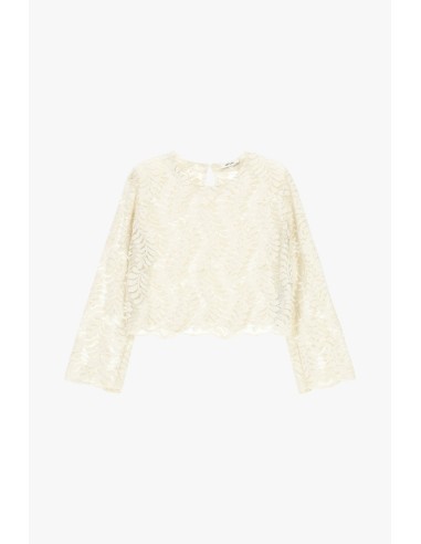 Top Bordado Mangas Compridas e Detalhes Transparentes Dixie