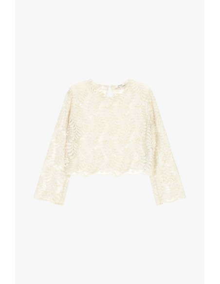 Top Bordado Mangas Compridas e Detalhes Transparentes Dixie