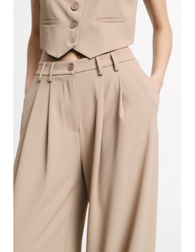 Calças Palazzo de Cintura Alta com Pinças Please